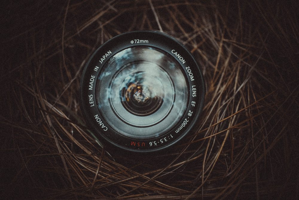 Bird photography equipment on a budget